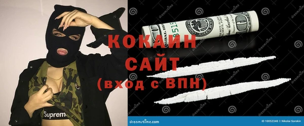 гашик Белокуриха