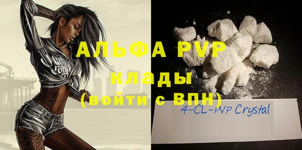 гашик Белокуриха